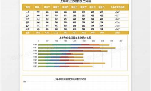 创业项目分析_创业项目分析报告书模板