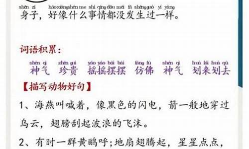 美文朗读精选文章_美文朗读文章