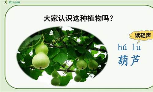 我要的是葫芦教学反思100字_我要的是葫芦教学反思