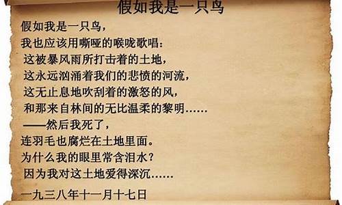 我和神鸟作文_我和神鸟作文400字